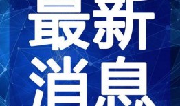 兔宝宝爆料新闻最新视频,揭秘视频背后的惊人真相